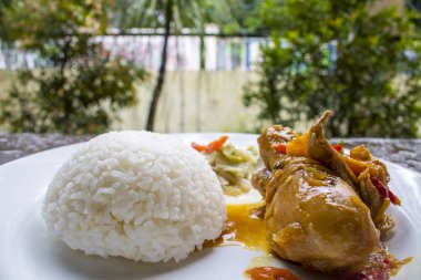 Tavuk soya sosu ile pirinç, tavuk yiyecek, Endonezya gıda | Asya gıda
