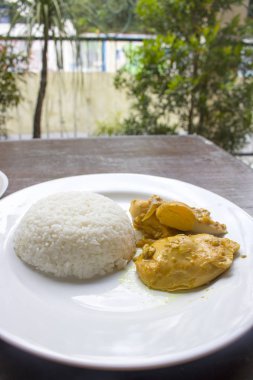 Yumurta soya sosu, tavuk soya sosu, Opor Ayam, tavuk suyu, Endonezya gıda | Assian gıda