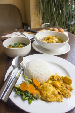 Yumurta soya sosu, tavuk soya sosu, Opor Ayam, tavuk suyu, Endonezya gıda | Assian gıda