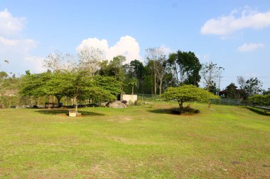 Candi Ijo, Doğal Tur, Yeşil Tapınak Endonezya Seyahat
