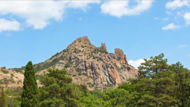 Orman ve ağaç kron yükselen dağ