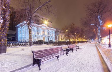 Noel ve yeni yıl Şehir Parkı için gece banklar ile dekore edilmiş