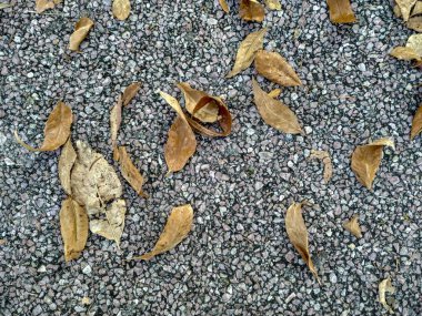 Arka plan duvar kağıdı deseni olarak eski sarı sonbahar yaprakları ile gri beton zemin