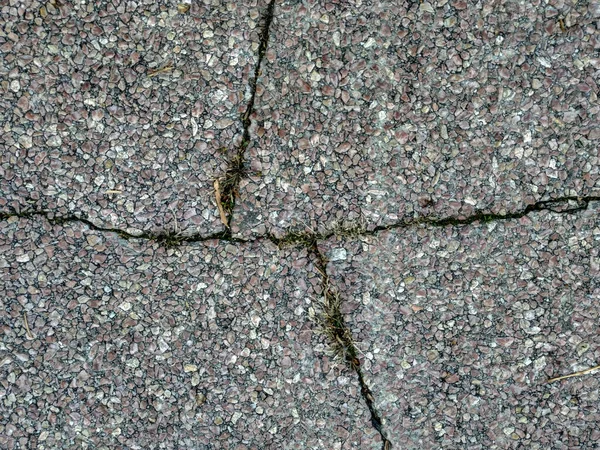 Cracked cinza concreto velho azulejo chão com pedaços de grama fundo textura áspera — Fotografia de Stock