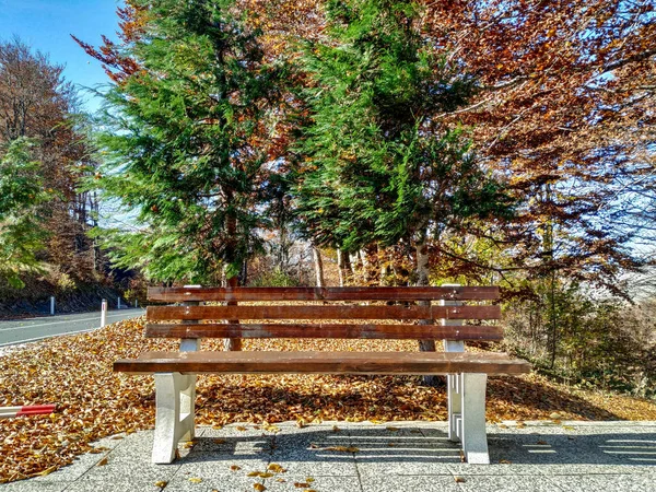 Paleta de cores nas árvores da época outonal e vista frontal do banco de madeira para relaxamento na natureza em um belo dia de caminhadas de outono — Fotografia de Stock