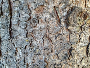 Doğal ağaç malzemesi kahverengi ahşap arka plan duvar kağıdı kaba doğa dokusu, ahşap desen