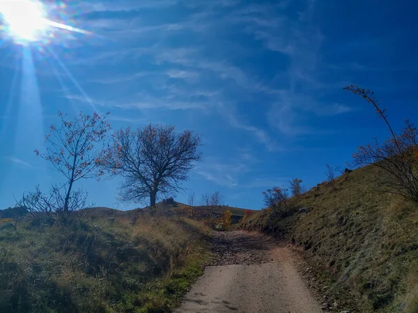 Landweg mitten in der Natur an einem schönen blauen Herbsttag zum friedlichen Spaziergang auf der Wiese — Stockfoto