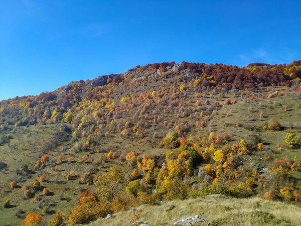 Colores de otoño en la colina en un día soleado cielo azul mientras camina al aire libre y disfruta de la relajante vista del entorno natural al aire libre fondo fondo de pantalla —  Fotos de Stock