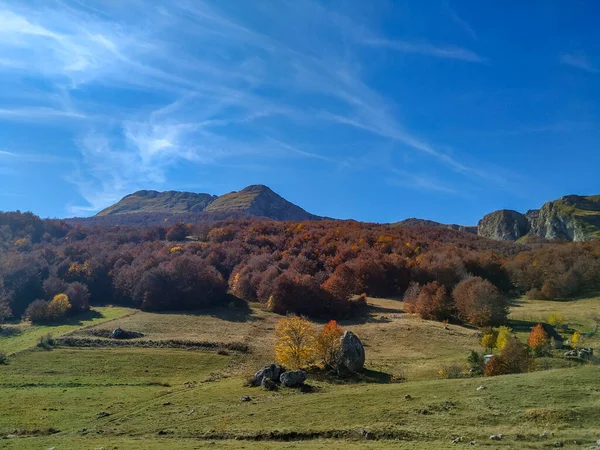 Widok na góry, kolorowy las, zielone pole i jesienny sezon zmienia naturę w piękny dzień błękitnego nieba podczas spaceru w spokojnej i zdrowej okolicy — Zdjęcie stockowe