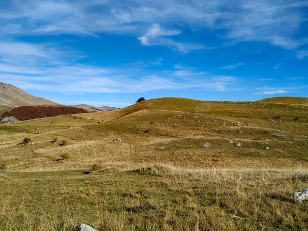 Piękne czyste pole trawy ziemi i błękitne niebo powyżej w odległym środowisku naturalnym wolne od stresu i majestatyczne, podczas spaceru i medytacji w plenerze — Zdjęcie stockowe