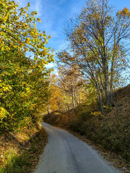 Kleine Fantasiestraße in den Hügeln, umgeben von unberührter Natur, bestehend aus bunten Bäumen. Spaziergänge oder Wanderungen in freier Wildbahn. — Stockfoto