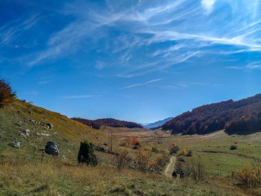 Çevre ekolojisi, dağ manzarasının güzel bir görüntüsüyle ve geniş çim tarlasıyla huzur verici ve huzurlu bir manzara olarak sunulmaktadır.