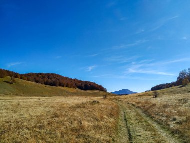 Dağlarla çevrili büyük bir çim tarlasında doğal bir yol. İzole edilmiş doğal sakin bir çevre manzarası. Rahatlatıcı bir yürüyüş için.