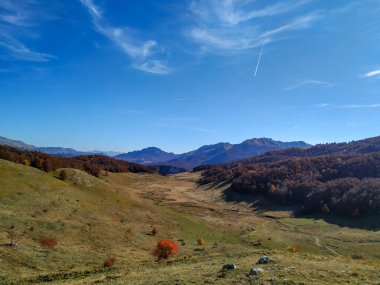 Bosna 'daki Bjelasnica dağının ulusal simgesi olarak uzak küçük bir nehir. Sonbaharın birçok renginde güzel bir doğal manzara.