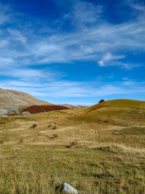 Doğa yürüyüşü için güzel bir gün olan sakin kırsal çayır doğal bir yürüyüş duvar kağıdında yeni deneyimler arıyor.