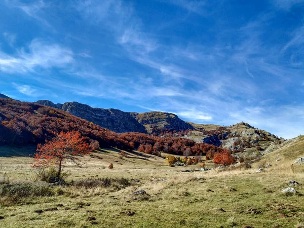 Färger av växlande årstider under hösten faller i fjällregionen. utsikt över ett bergslandskap och grönt gräsfält — Stockfoto