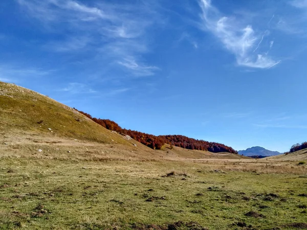 Prachtige ongerepte natuur die ecologisch milieu behoud en kwesties vertegenwoordigt. een uitzicht op serene en rustige geïsoleerde natuur — Stockfoto