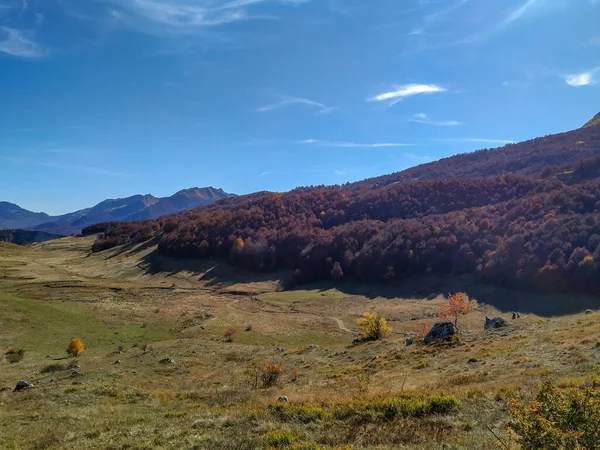 Dağ yamacında karanlık, sık bir orman ve doğal yolculukta tırmanırken güzel bir manzarada yeşil çimen tarlası.