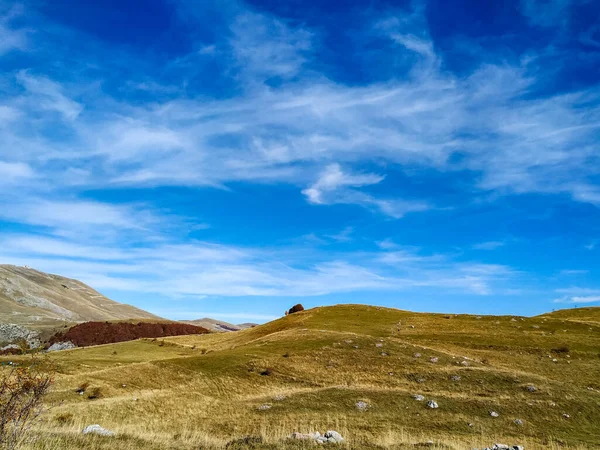 Сон, как фантазия вид зеленого травяного поля на величественном голубом небе день в спокойный осень, как успокаивающий вид для туристов в изолированной среде — стоковое фото