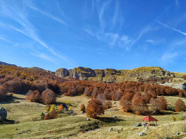 Vasto campo de grama verde com árvores coloridas e floresta nas colinas encontradas durante caminhadas na natureza em um belo dia de outono — Fotografia de Stock