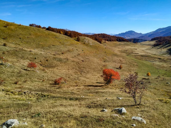 Enorm grön gräsplan dal med färgglada träd och natur som lugn utsikt över fridfull och stressfri naturlig miljö — Stockfoto