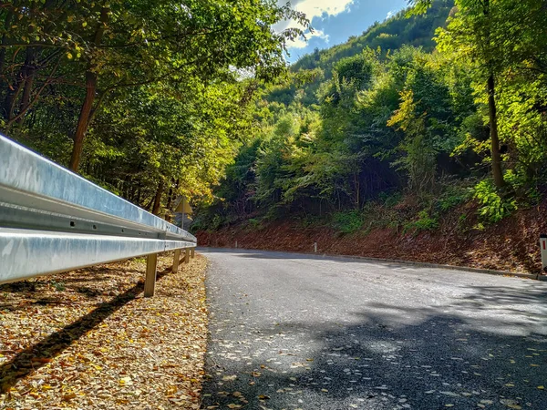 Yolda yeni asfalt ve kenarda koruma çiti. Dikkatli sürüş için doğa ile çevrili.