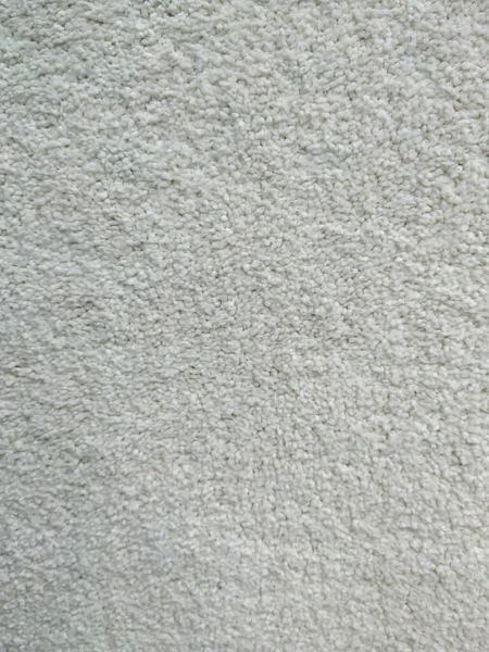 Minimalist tasarım evleri için iç dekorasyon için yumuşak beyaz ve sıcak halı.