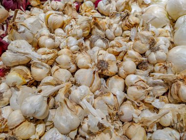 A lot of white garlic stacked on a supermarket stand shop for healthy lifestyle and making a delicious meal