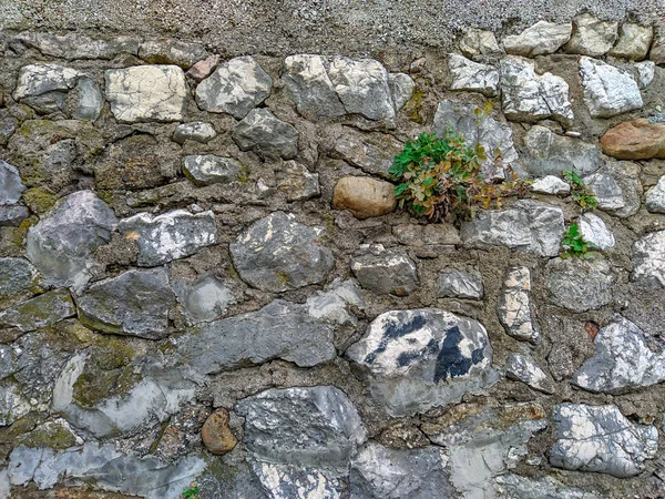 Mur traditionnel inégal et ancien en matériaux naturels, comme les pierres, la roche et le ciment avec de l'herbe poussant à l'intérieur — Photo