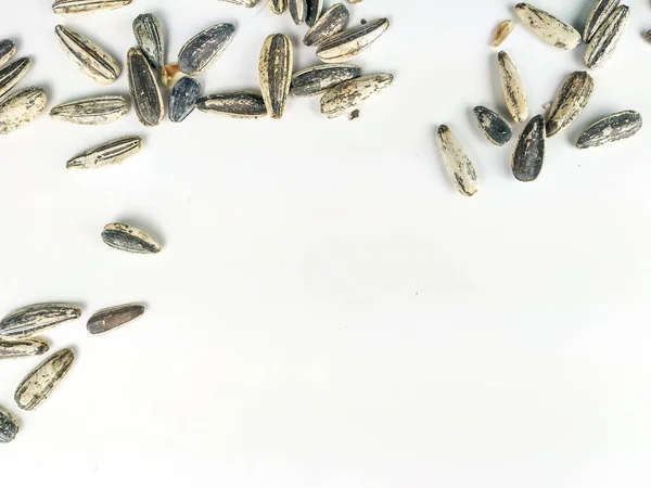 Pocas de las semillas de girasol colocadas en la parte superior de la imagen sobre un fondo blanco haciendo un marco aleatorio con espacio vacío debajo —  Fotos de Stock