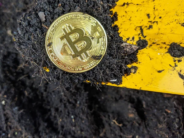 Kürekle altın bir bitcoin alıp kripto para birimlerini küresel piyasanın gelecekteki para birimi olarak madenciliğe yatırım yapma konseptini sunmak.