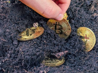 Topraktaki altın bitcoin paralarını toplayarak madenciliğe yatırım yapma ve bitcoin 'leri yarı yarıya bölme kavramını ortaya koyuyor.
