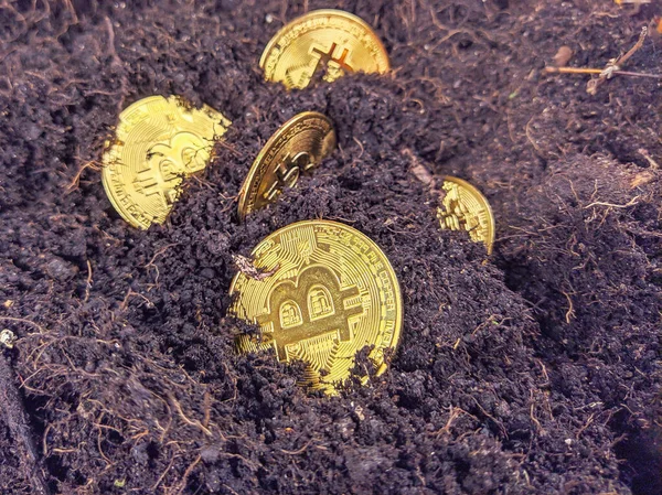 Μελλοντικό νόμισμα με βάση την τεχνολογία blockchain που παρουσιάζεται από χρυσά bitcoins στο έδαφος ως έννοια της εξόρυξης bitcoins και την επένδυση σε αυτά Εικόνα Αρχείου