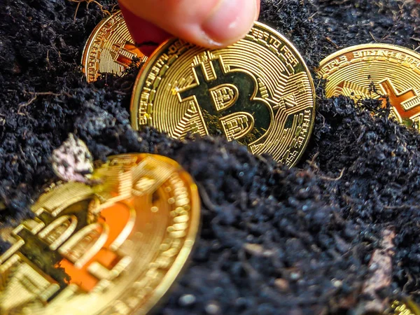 Εξόρυξη bitcoins από το έδαφος με τη συλλογή του χρυσού νομίσματος και την επένδυση σε crpyotcurrencies με βάση την τεχνολογία blockchain Φωτογραφία Αρχείου