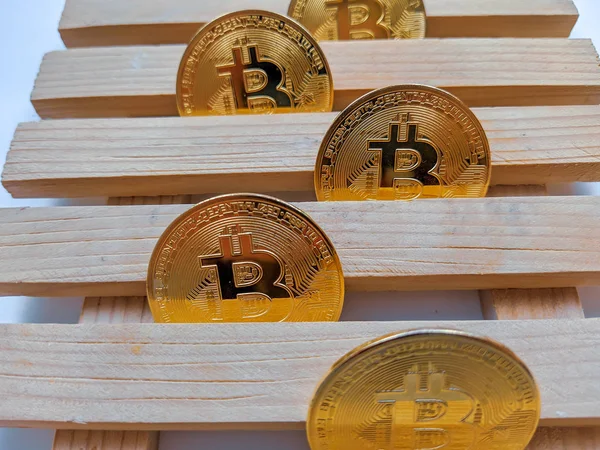 Bitcoinler birbiri ardına ahşap bir çerçeve üzerinde bir araya toplanmış dijital kripto para biriminde, emniyetli ödemeler için bir blok olarak..
