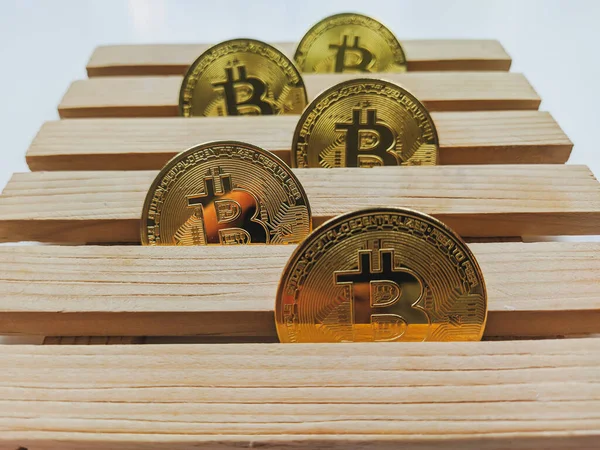 Golden bitcoin coins lined on wooden platform as a concept of investing and collecting cryptocurrencies by mining and halving — Stock Photo, Image
