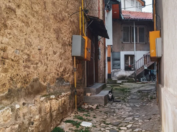 Old small alley street leading to some houses with a cat sitting on the path with traditional and old look around of walls and ground — Stock Photo, Image