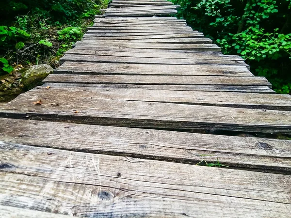 Prachtig natuurlijk pad gemaakt van houten planken midden in de natuur met een rustgevende natuur wandelpad voor ontspanning — Stockfoto