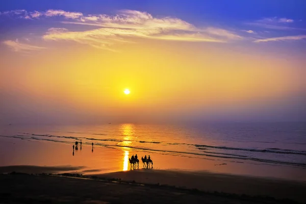 Színes napfelkelte, a seabeach keletre a költséget India. — Stock Fotó