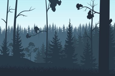 Kozalaklı orman silueti gökyüzü ve ormanlı bir manzara. Vektör.