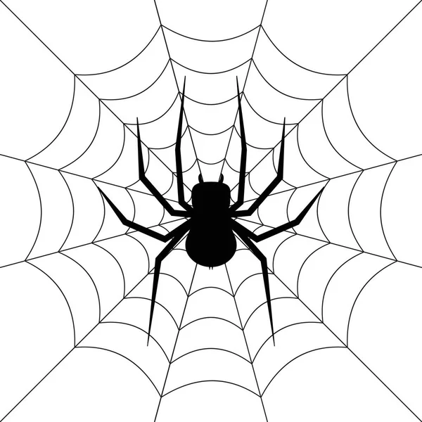 Illustrazione vettoriale del ragno sul web. Isolato. EPS10 . — Vettoriale Stock