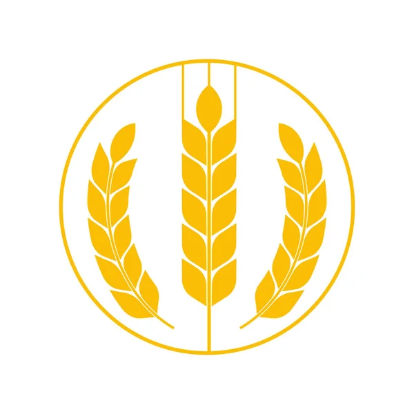 Landwirtschaft Weizen Logo-Vorlage Vektor-Symbol-Design. Vektor. — Stockvektor