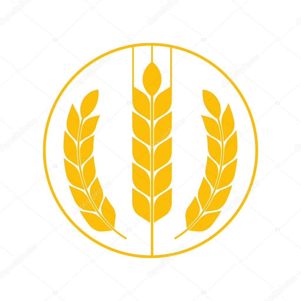 Agriculture wheat Logo Template vector icon design.
