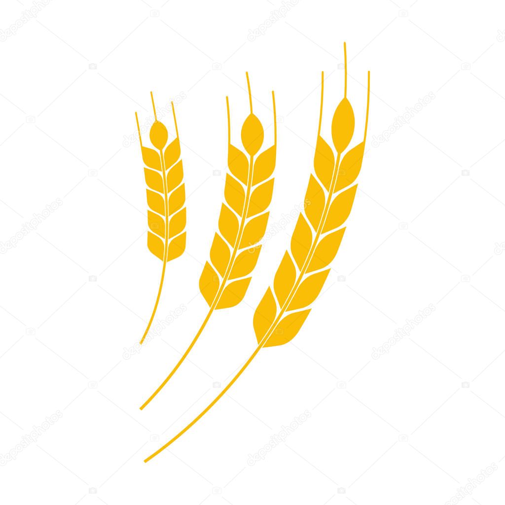 Vector illustration of wheat earth icon. Isolated.