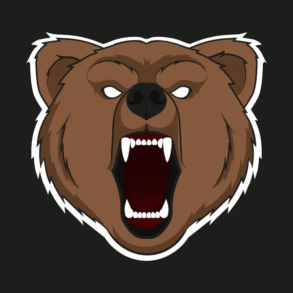 Ilustración vectorial de la rara cabeza de oso. Aislado . — Vector de stock