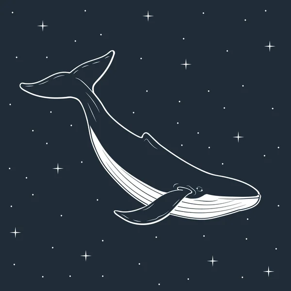 Ballena azul sobre fondo espacial. Ilustración vectorial . — Vector de stock