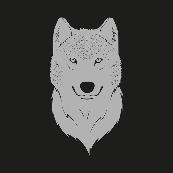 Ilustración vectorial de la cabeza de lobo. Aislado . — Vector de stock