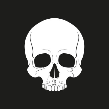 Alt çenesi olmayan siyah beyaz insan kafatası. Vektör.