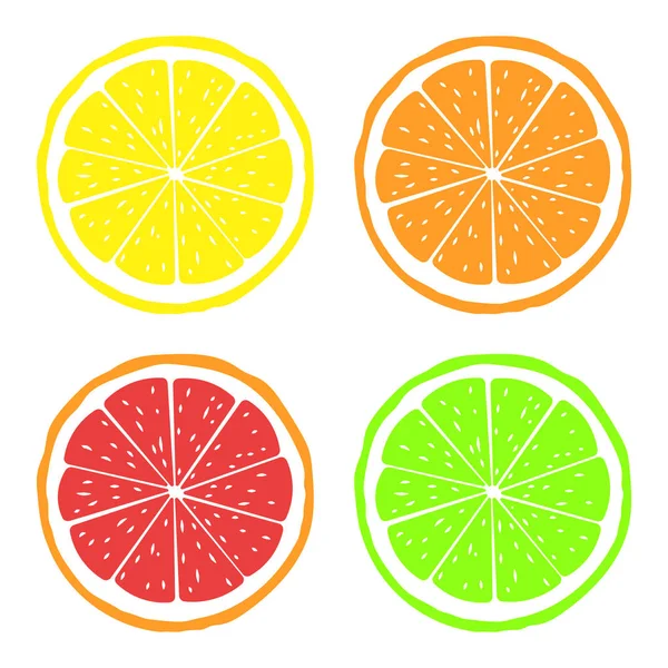 Citrusfélék szeleteinek kórokozó-átvivő illusztrációja. Elszigetelt. — Stock Vector
