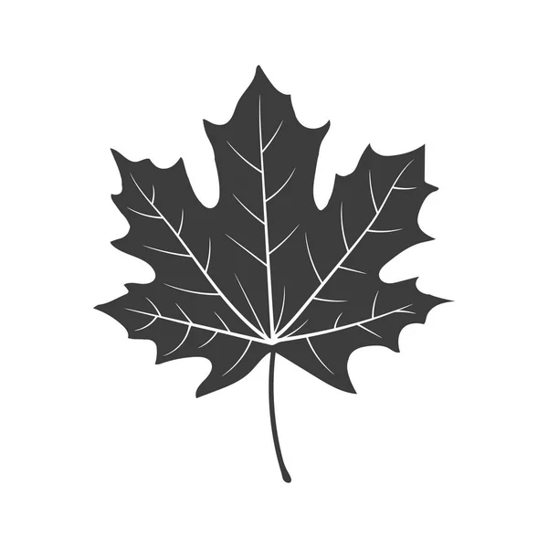 Maple leaves icon set isolated on white. Seasonal clipart in vivid